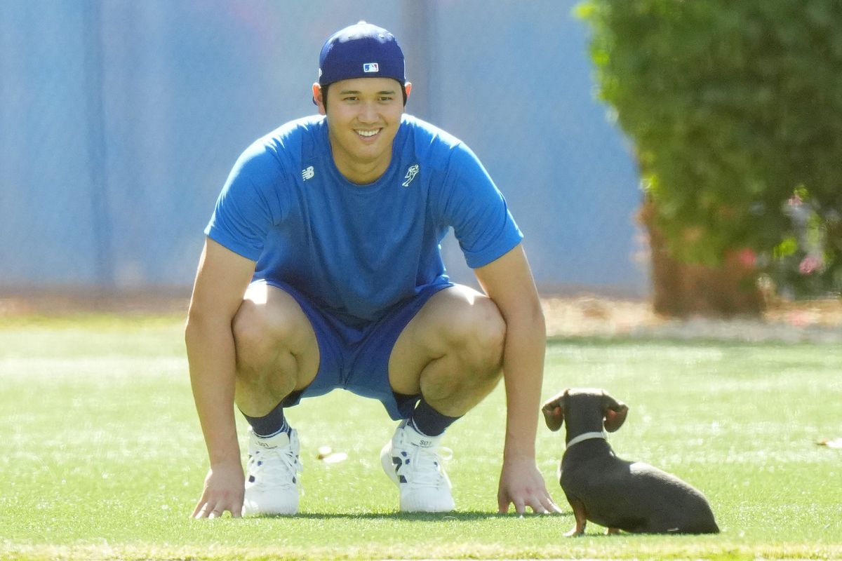 自主トレに乱入した子犬と見つめ合う大谷翔平選手(写真：日刊スポーツ/アフロ)