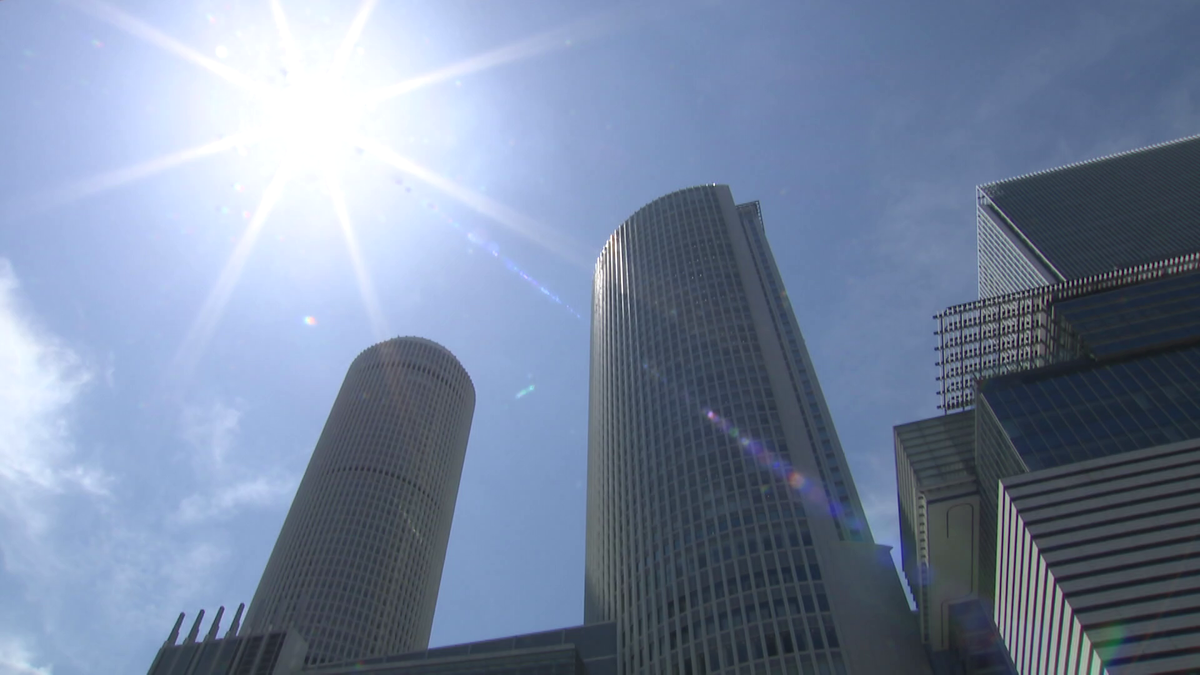 先週末は夏日到来でぽかぽか陽気に