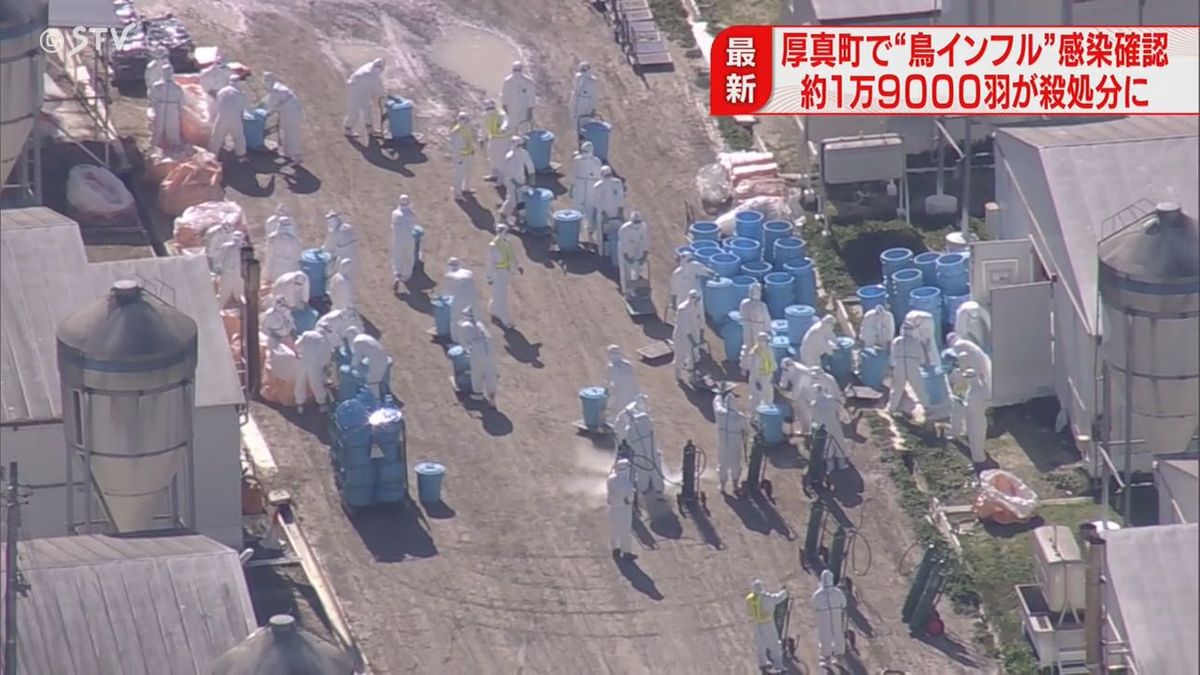 今季全国初…北海道厚真町で鳥インフルエンザ　食肉用のニワトリ１．９万羽殺処分開始　