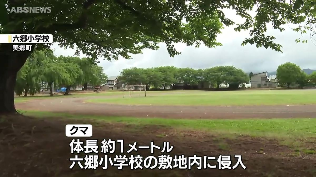 小学校の敷地内にクマ　屋外での活動中止