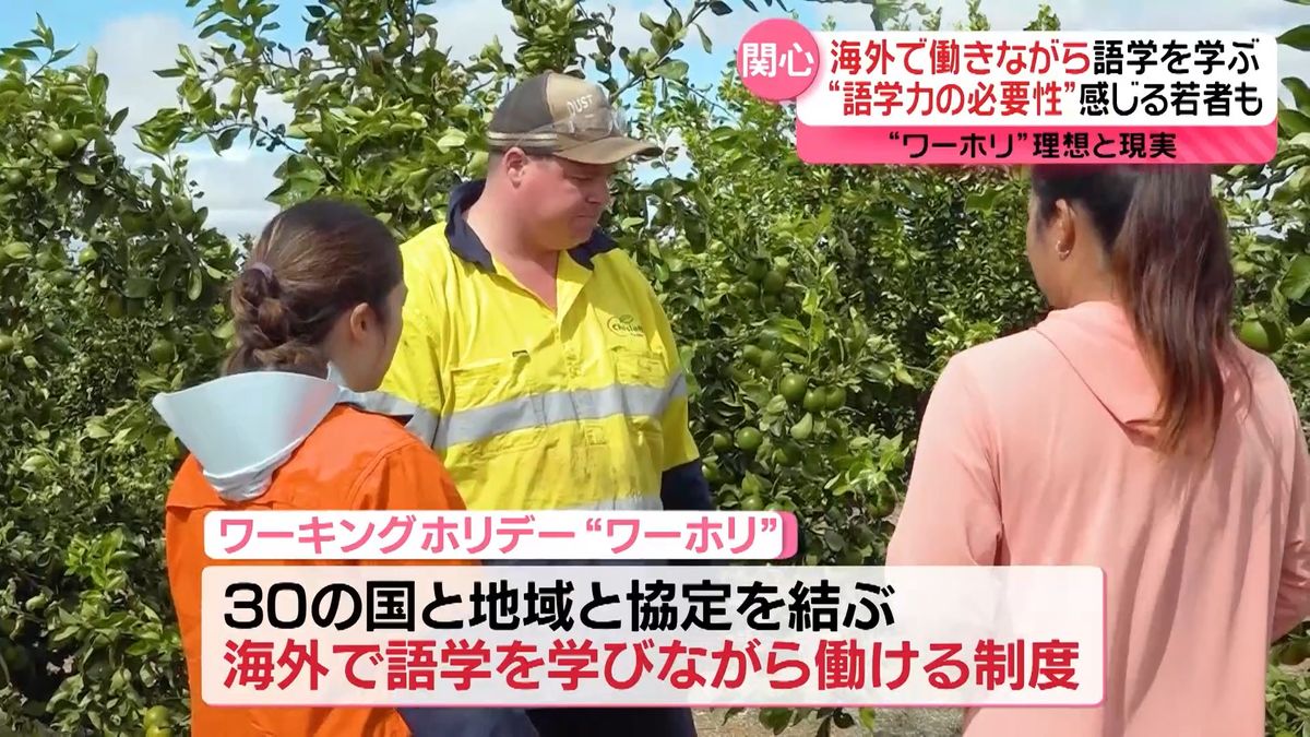 海外で働きながら語学力アップ“理想と現実”……滞在期間1年“ワーホリ”に若者が注目『every.16時特集』