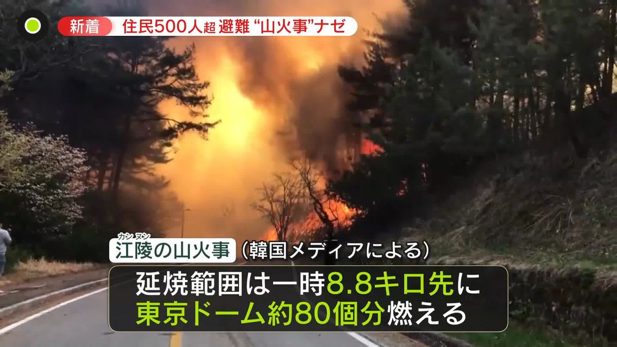 韓国で大規模な山火事　“強風”で被害拡大か…民家など72軒が焼失　1人死亡16人けが　