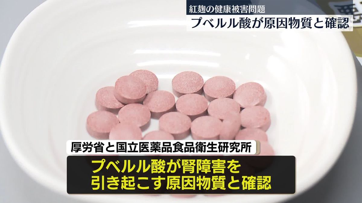 「紅麹」健康被害　プベルル酸が腎障害ひきおこすと確認…厚労省