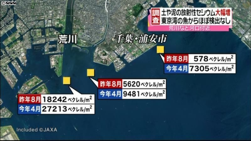 東京湾の土で放射性セシウム増　川から流入