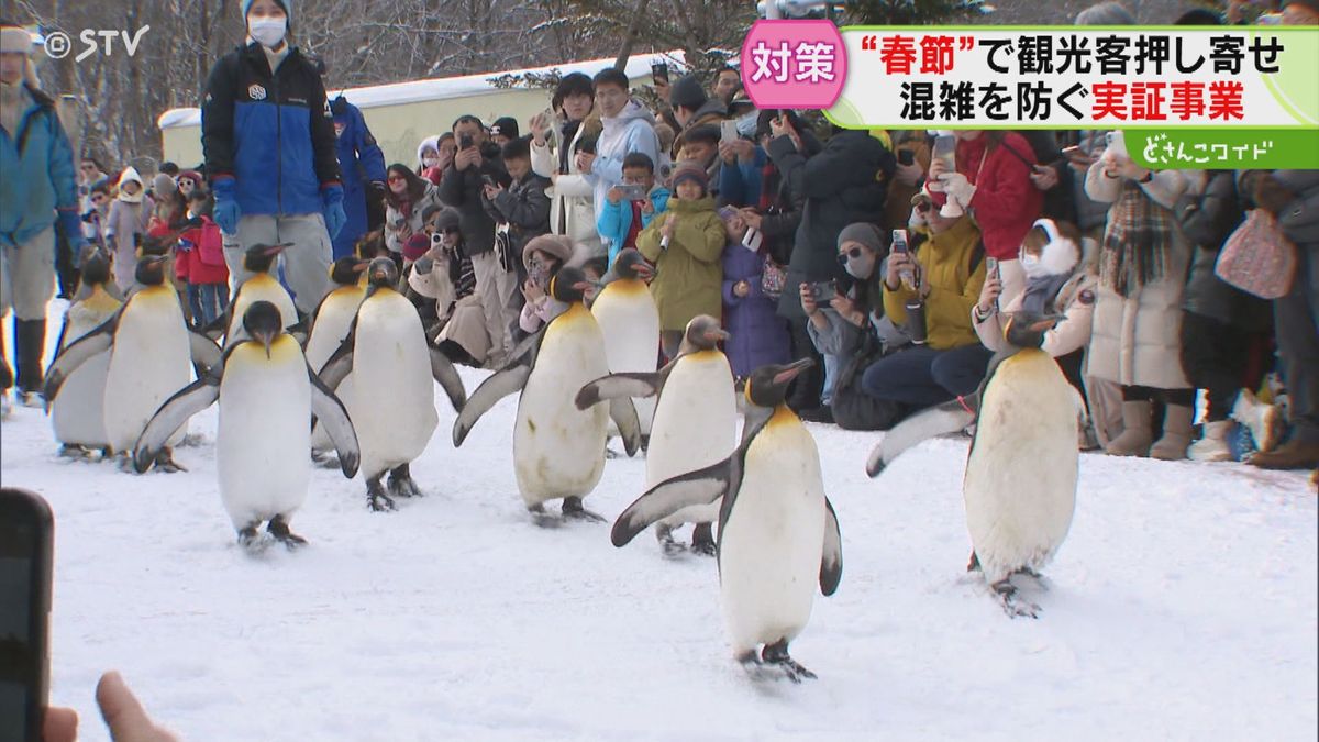 北海道「春節スケッチ」旭山で登別で空港で…大行列そこかしこに　オーバーツーリズム対策最前線