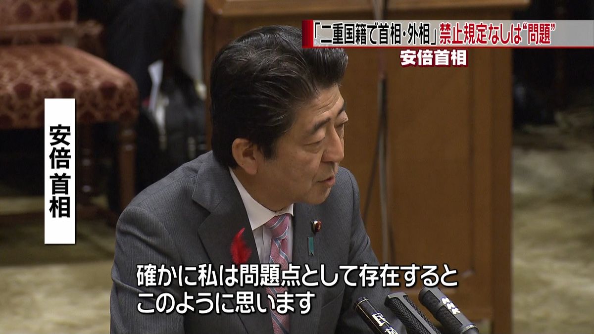 「二重国籍で首相・外相」禁止なし“問題”