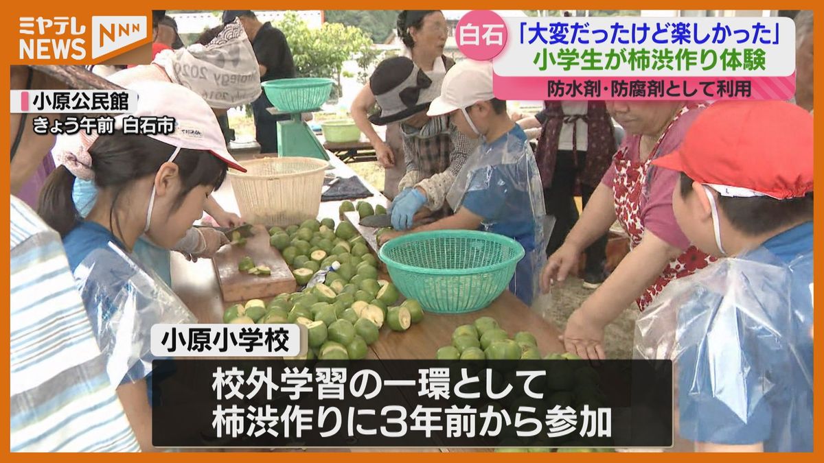 ＜古くから防水剤・防腐剤として利用＞小学生が特産の柿で“柿渋”作りを体験（宮城・白石市）