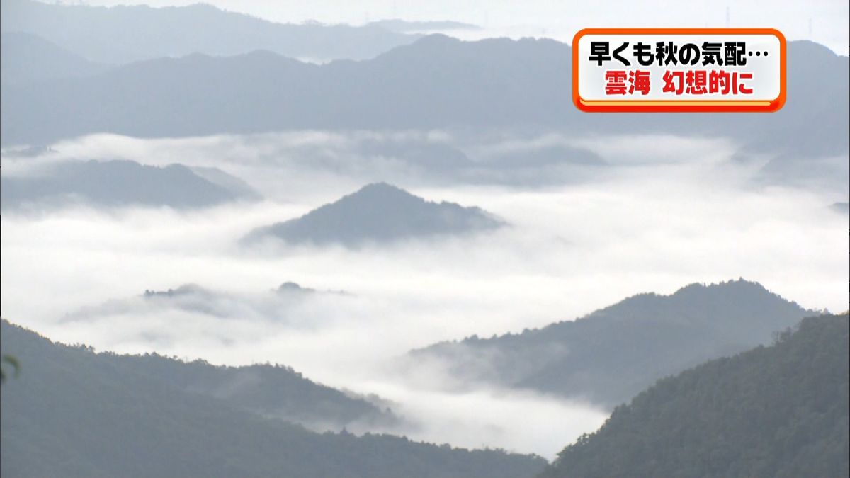 早くも秋の気配　京都・福知山市で雲海