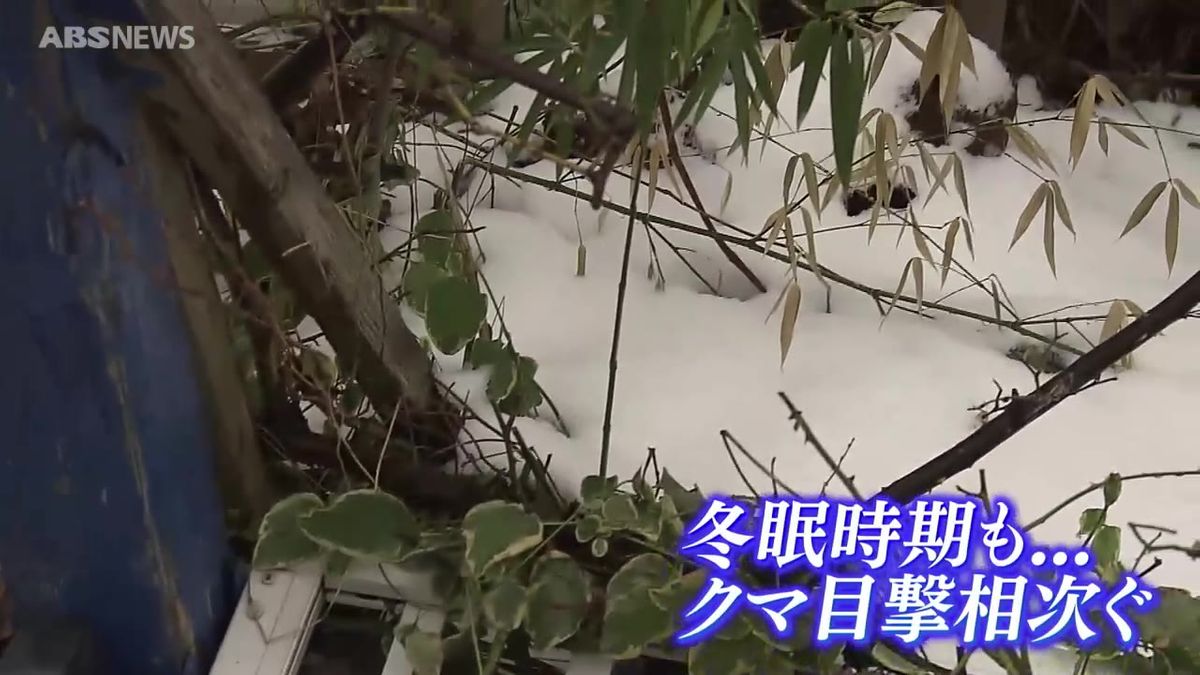 秋田市の住宅地でクマの目撃相次ぐ　警察が注意を呼び掛け