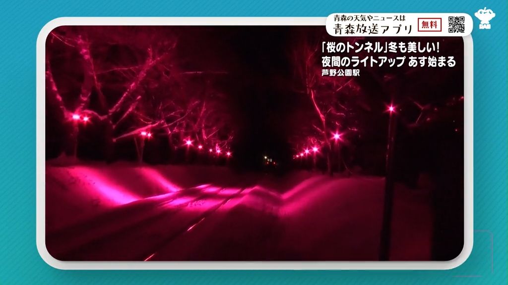 冬の夜にしか見られない「桜のトンネル」春の桜に負けない美しさ　21日から芦崎公園駅で開始　青森県五所川原市