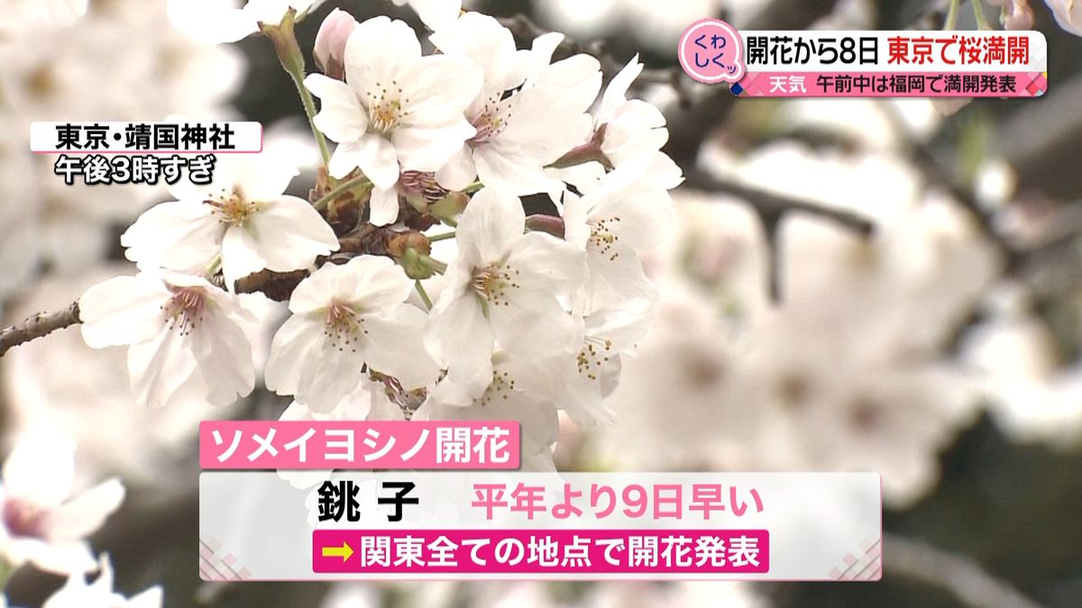 東京で桜満開　観測以来２番目に早い発表