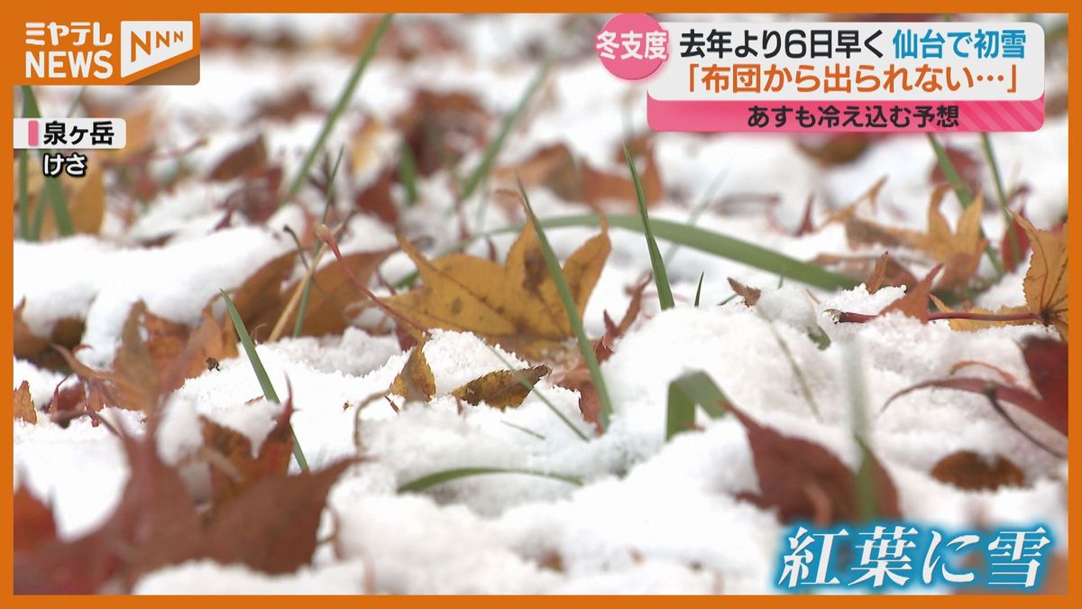 「急に気温が下がり身体が追い付かない…」仙台で去年より6日早い”初雪”　灯油を買い求める人の姿も