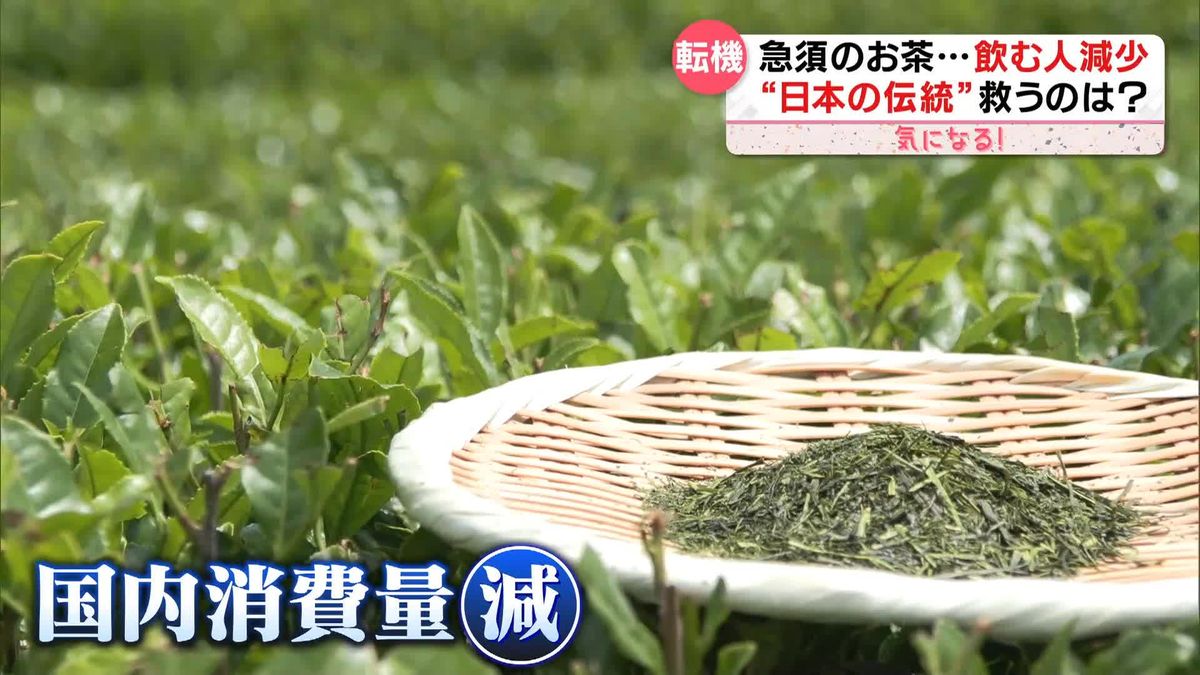 急須のお茶…飲む人減少も「日本茶」輸出“4倍”に　ニューヨークでは茶道教室も開催