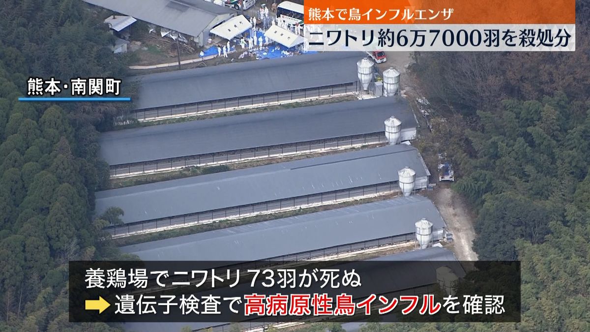 熊本で鳥インフル　６万７０００羽を殺処分