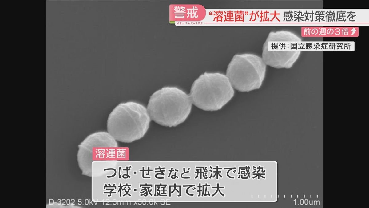 「溶連菌」福岡で警報レベル　“人食いバクテリア”はまれだが溶連菌感染者に比例して増加　注意点は