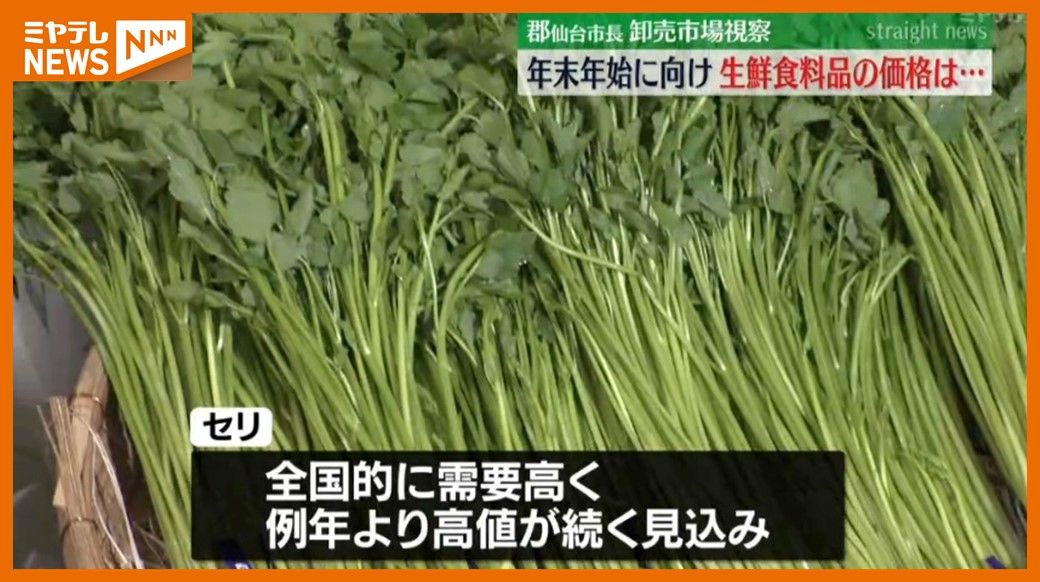 ＜マグロやカニは”例年並み”・葉物野菜は”高値”＞需要高まる年末年始を前に市長が視察（仙台市中央卸売市場）