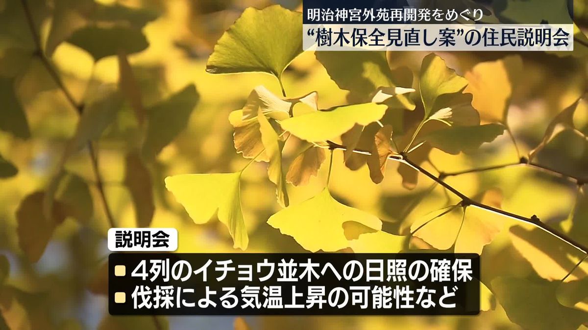 明治神宮外苑再開発めぐり「樹木保全見直し案」の住民説明会