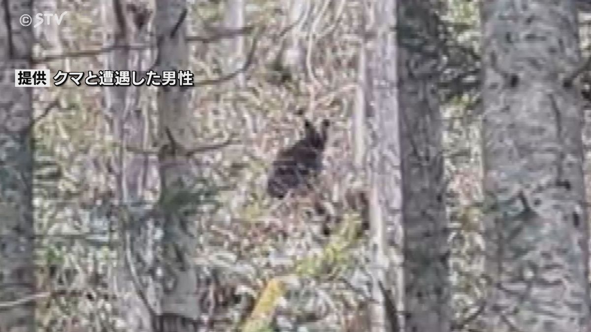 クマ出没相次ぐ名寄市で緊急対策会議　１５件の目撃情報　今後クマ確認のためドローン導入も検討