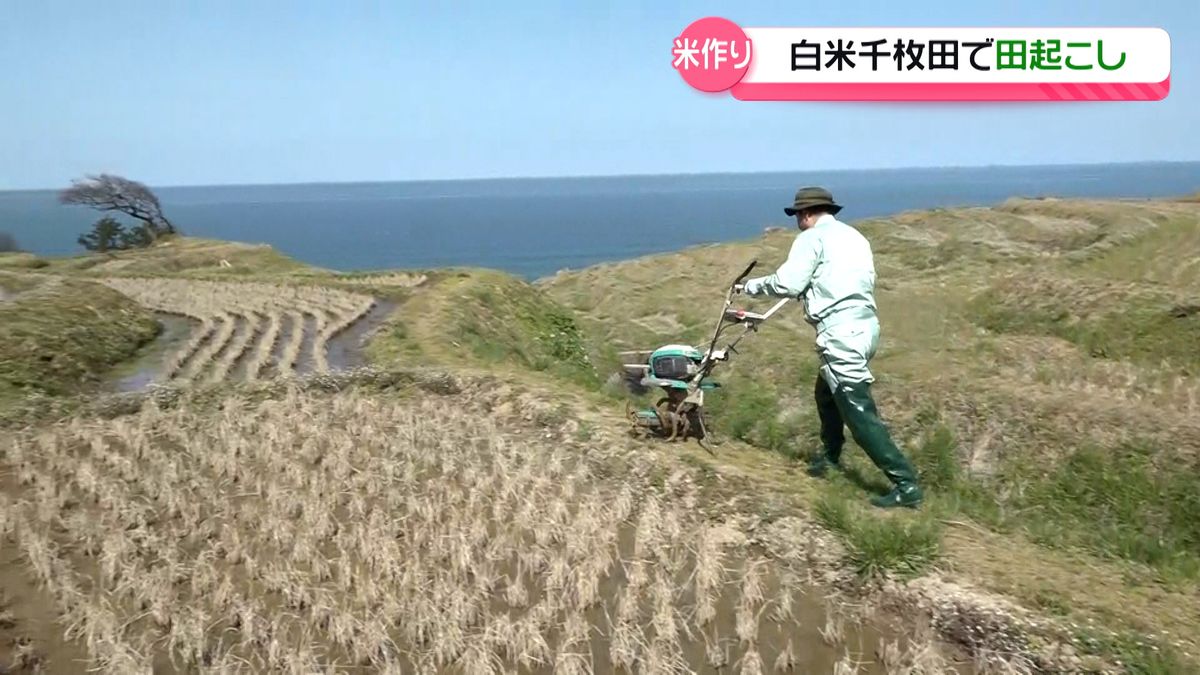 地震で亀裂が入った白米千枚田  修復の見通し立たない中…米作り開始