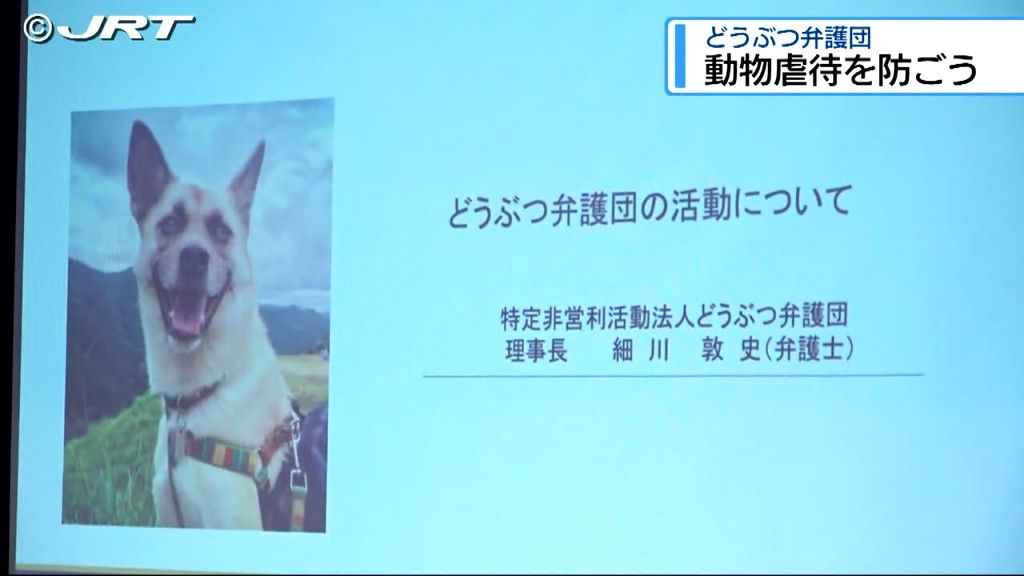 早期に事件化し虐待が繰り返されることを防ぐ 北島町で動物を虐待から守る「どうぶつ弁護団」が講演【徳島】