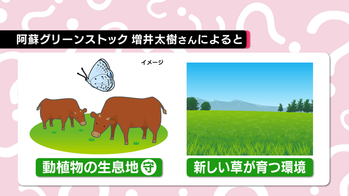 野焼きを行う理由は草原の維持