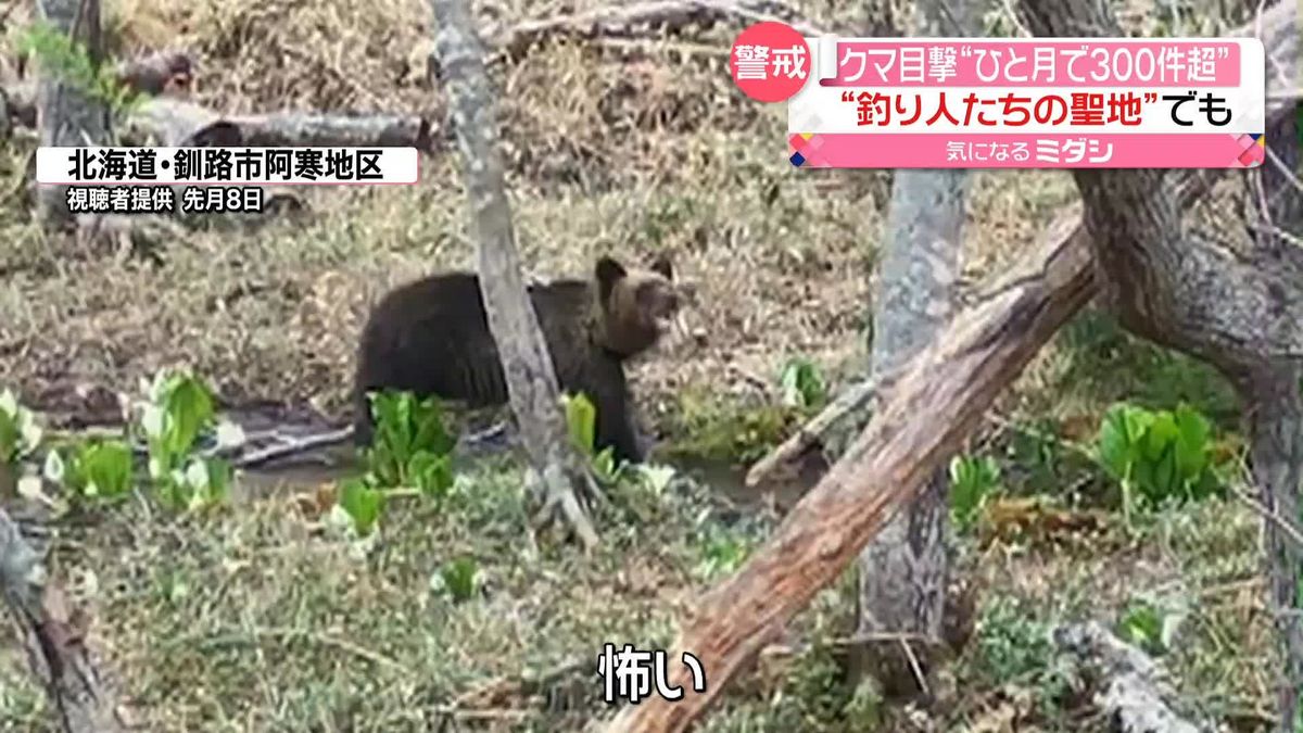 クマ目撃相次ぐ　5月だけで328件　レジャーシーズン迎え観光地は…　北海道