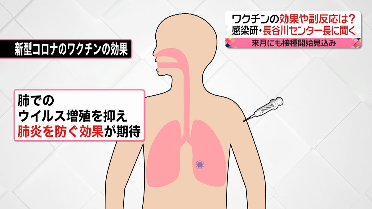 専門家に聞く…ワクチンの効果や副反応は？