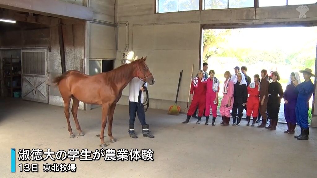 東京の大学生が東北牧場で循環型農業体験　青森・東北町