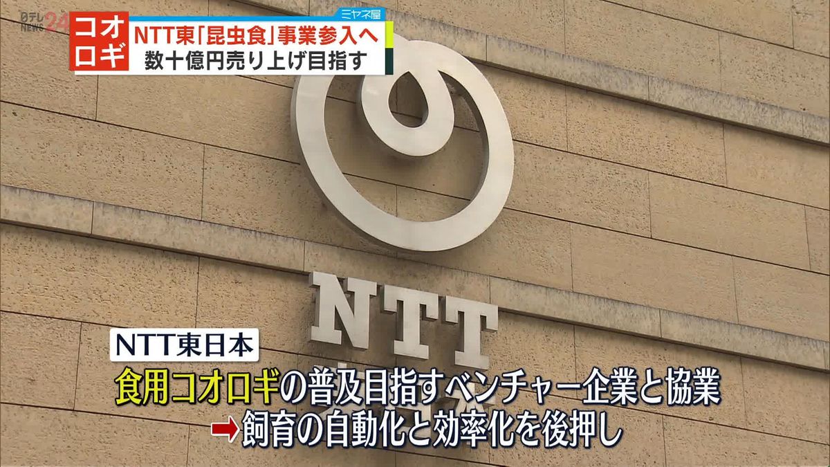NTT東日本「昆虫食」事業に“参入”　食用コオロギの飼育場所に「不使用電話局」活用も検討