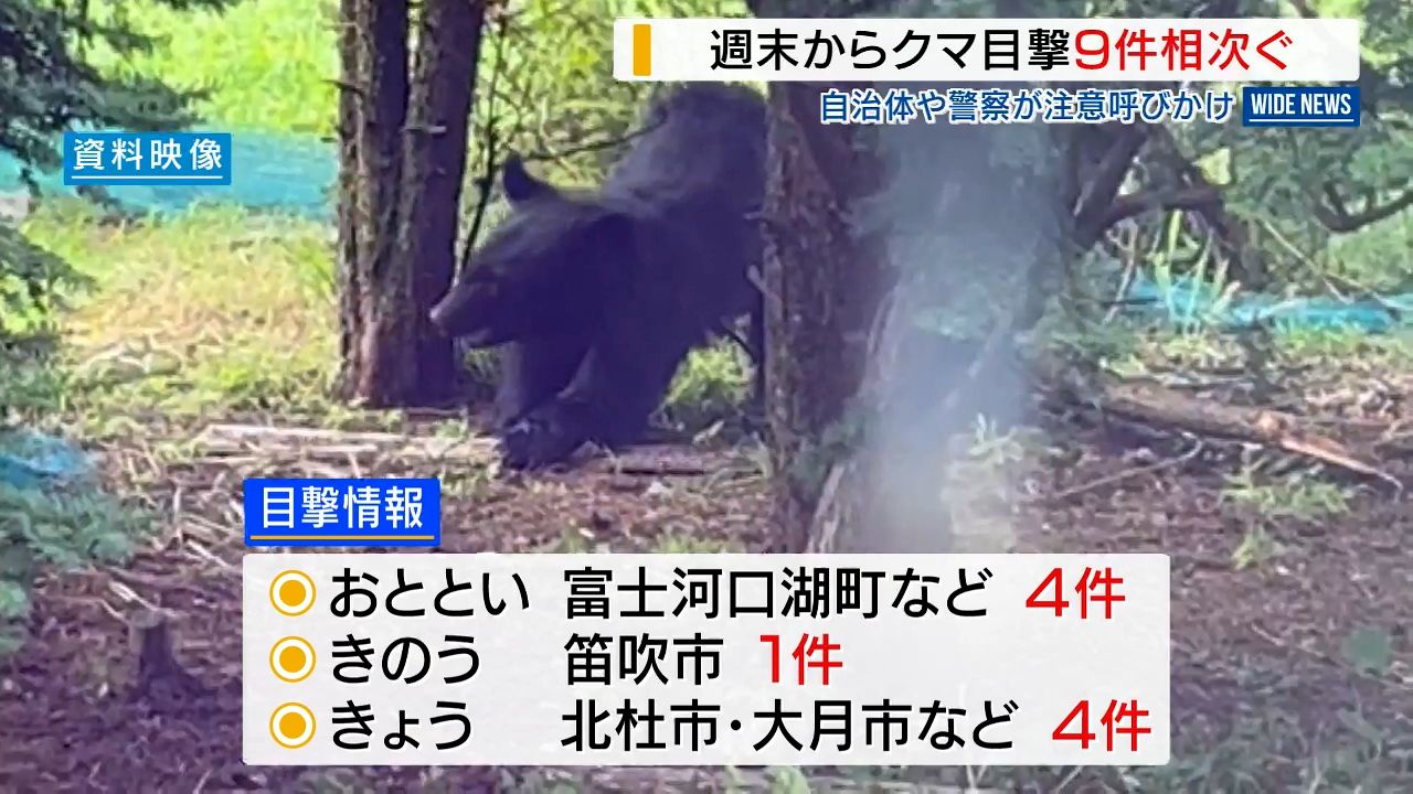 クマの目撃相次ぐ 3日間で9件 駅近くの遊歩道でも 北杜や富士河口湖 ...