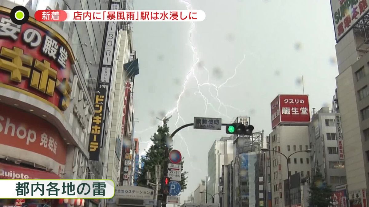 関東各地で“ゲリラ豪雨”…雷も　東電管内の1万7000軒超で一時「停電」　その時、都内では