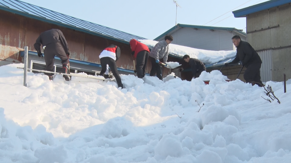 「やれることが誇りに思う」窓が隠れるほど大量に積もった雪…高齢者の住宅を救う！市の職員たちが除雪支援に出動　青森県つがる市