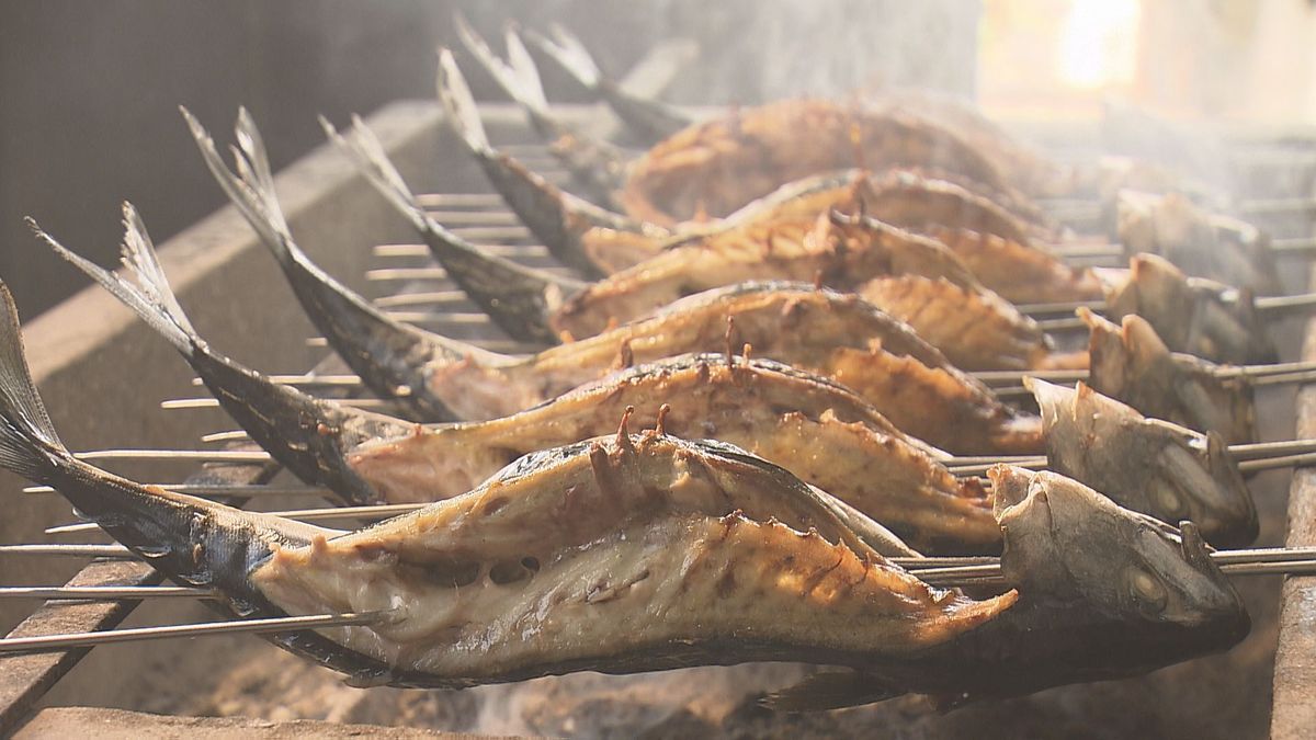 漁獲量の減少で大衆魚「サバ」が高騰…水産王国・愛媛が養殖サバの産地化めざす