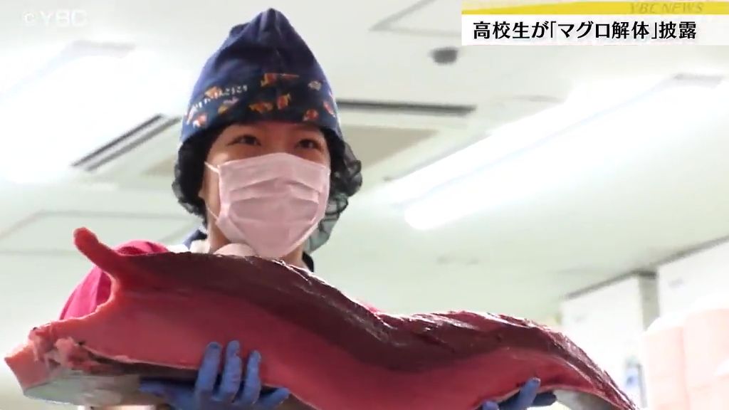 女子高校生が50キロ超えるマグロの解体ショー！山形市内のスーパーで