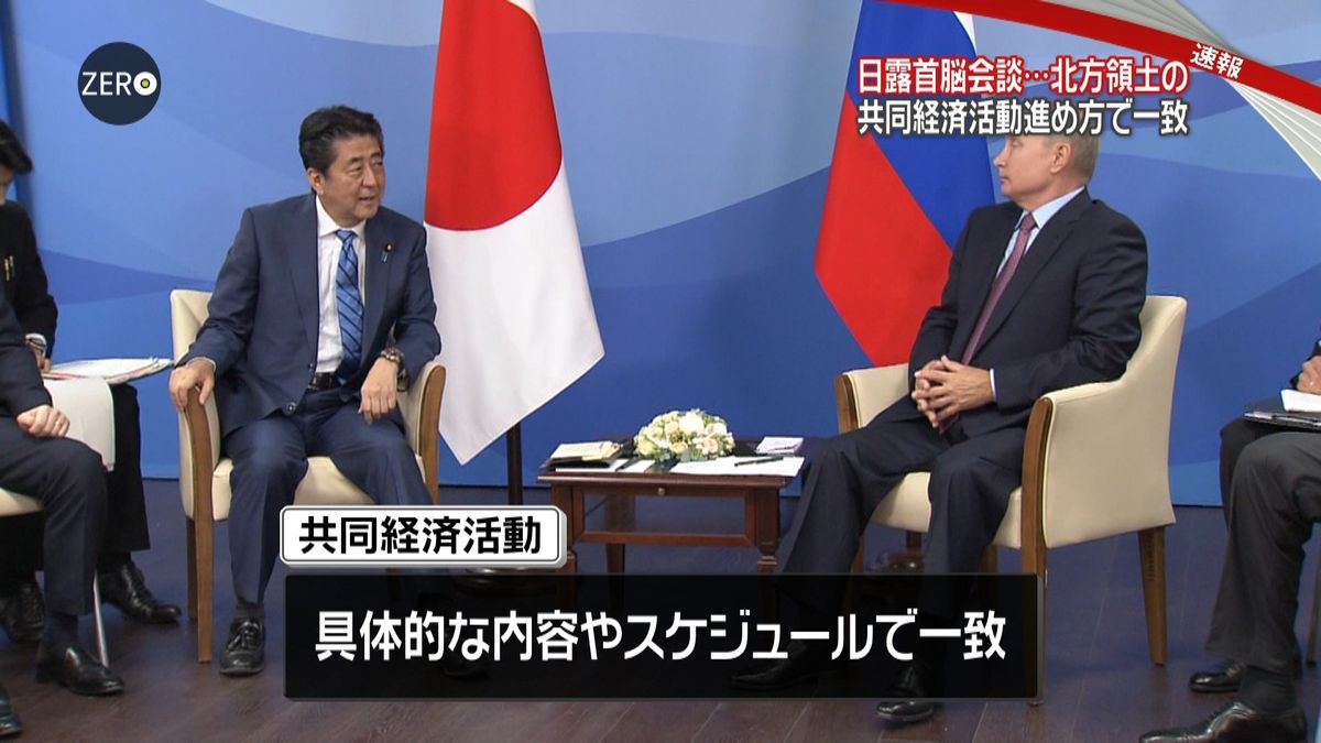 日露首脳会談　共同経済活動の進め方で一致