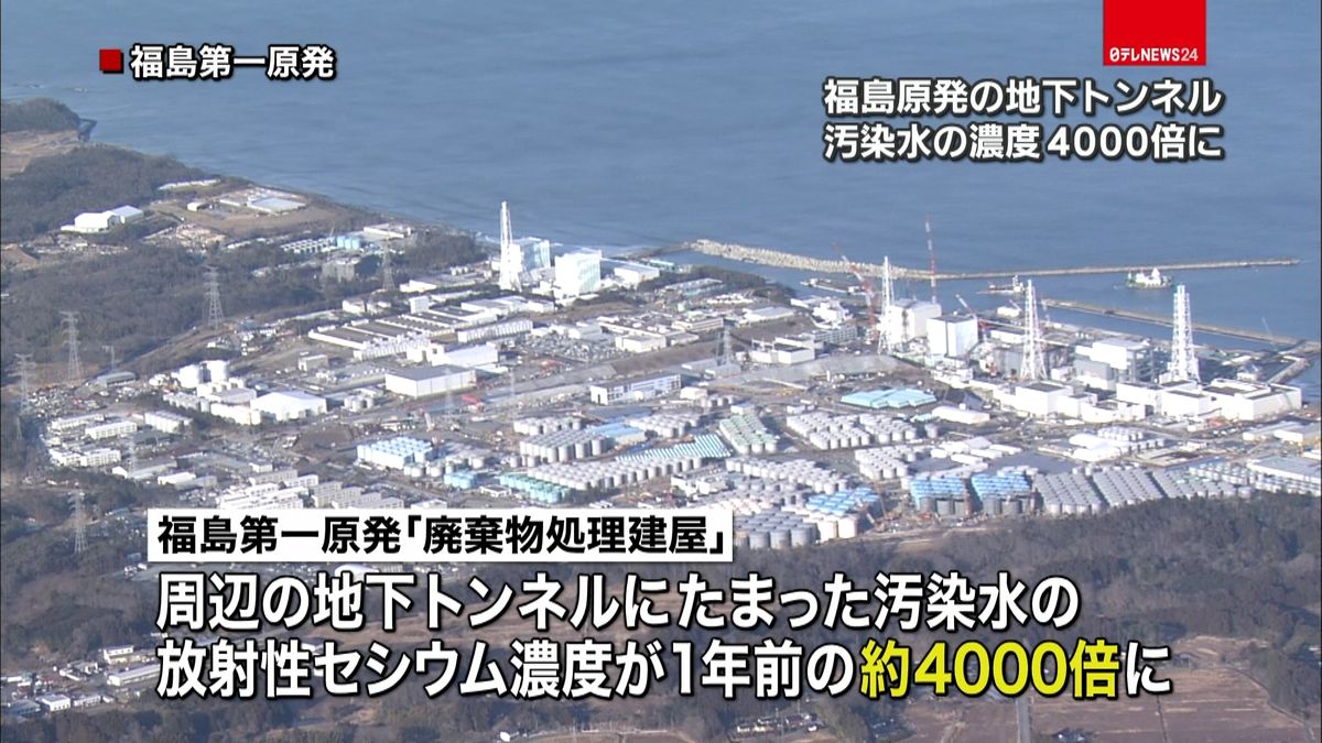 汚染水濃度約４千倍　福島原発地下トンネル