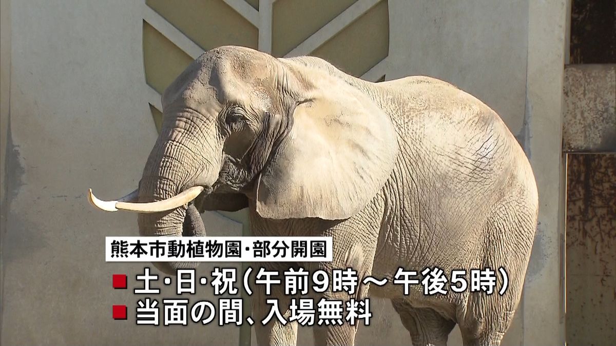 熊本市動植物園１０か月半ぶり一部営業再開