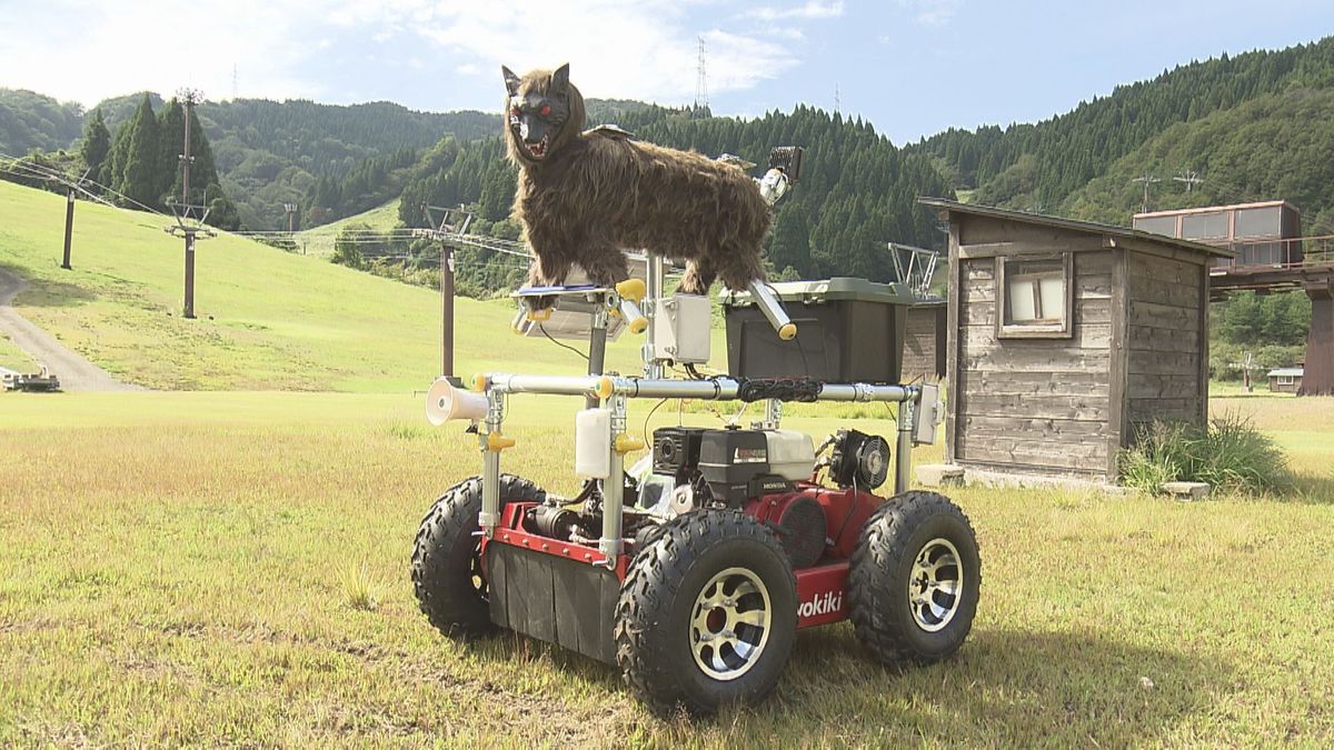 シカやクマに鋭い目光らせる 獣害対策オオカミ型ロボットが自動走行