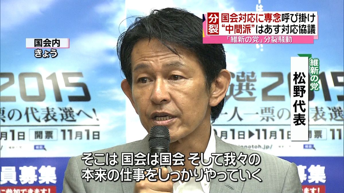 維新分裂騒動も「国会中は結束を」松野代表