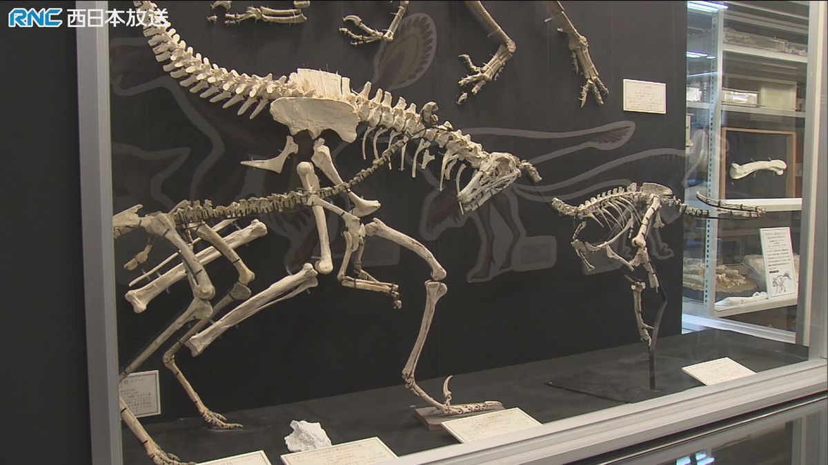 岡山理科大学　全国初の「恐竜学科」来年4月開設