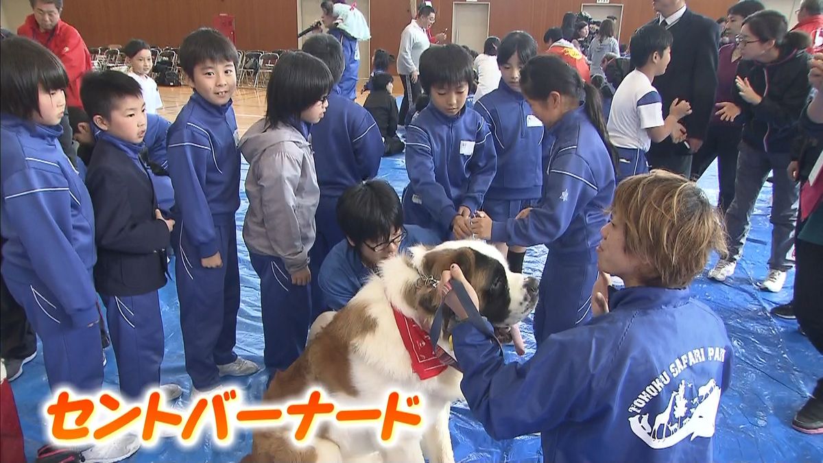 二本松市の小学校でふれあい動物教室