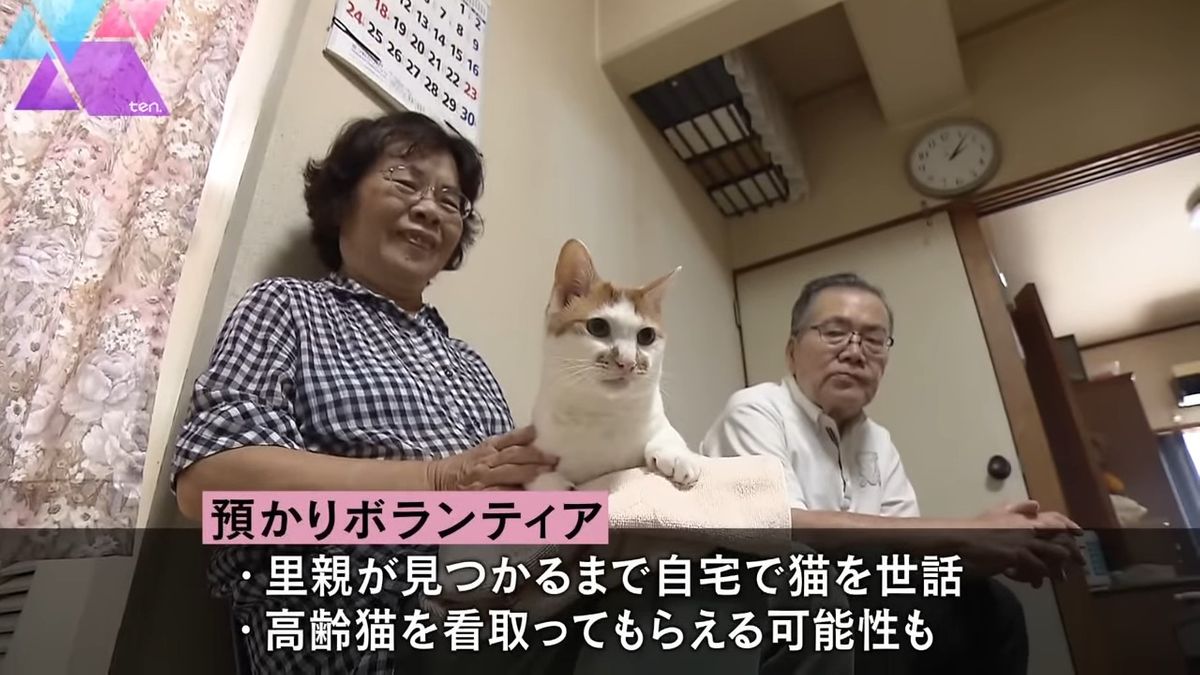 「飼いたい」を諦めたから、出会えた命