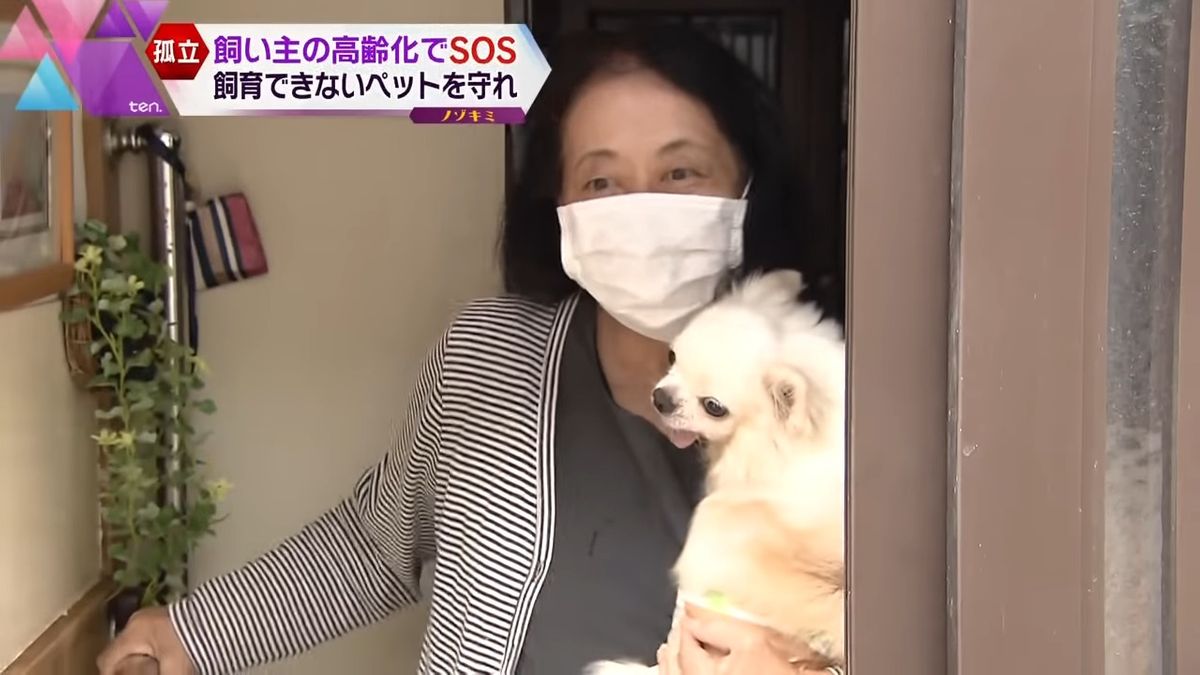 犬と人生を歩んできた坂本さん(77)