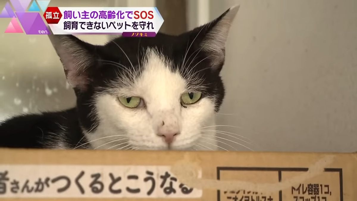 【特集】「飼い主が自ら命を…」一生一緒にいたくても、様々な理由で起きる『ペットの飼育崩壊』飼い主と動物、両方の“命”に寄り添う現場に密着「高齢者もペットも両方とも見守る」