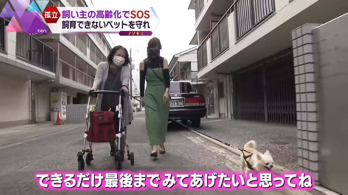 愛犬がいるから、規則正しい生活を送れる