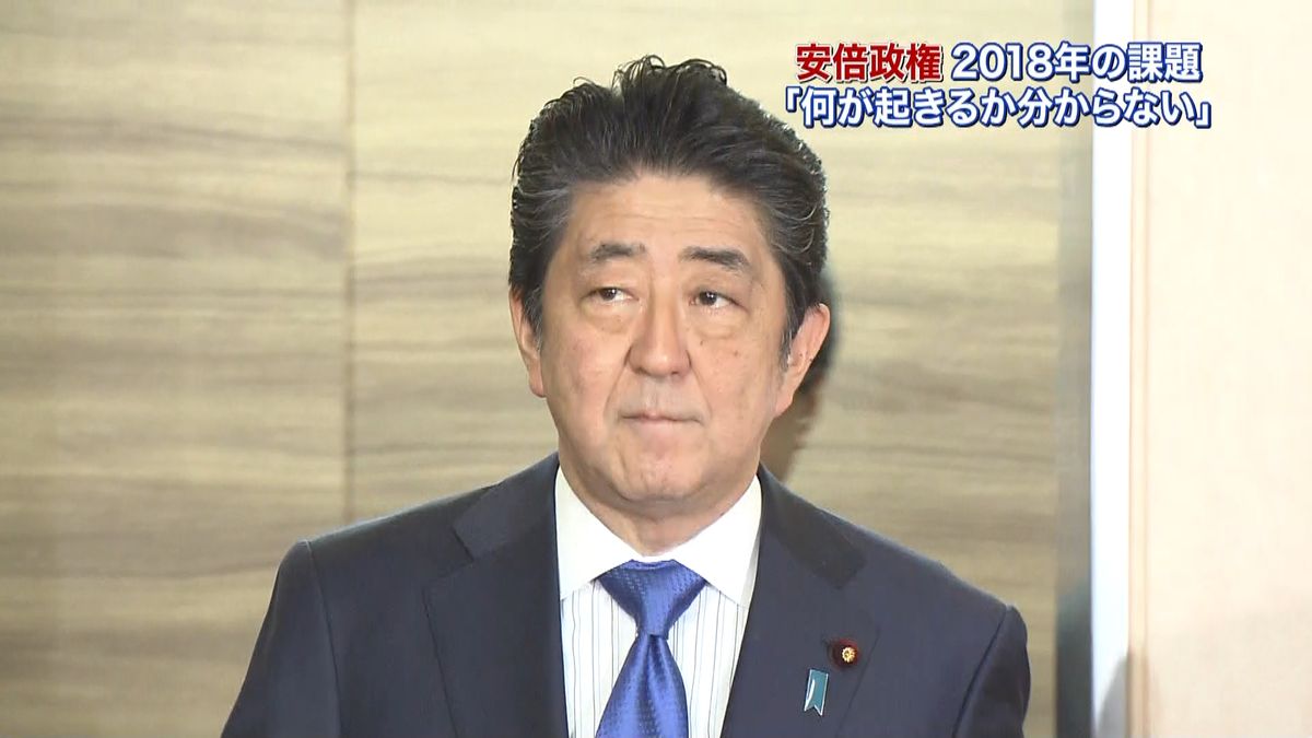 総裁選、憲法改正…安倍首相、正念場の１年