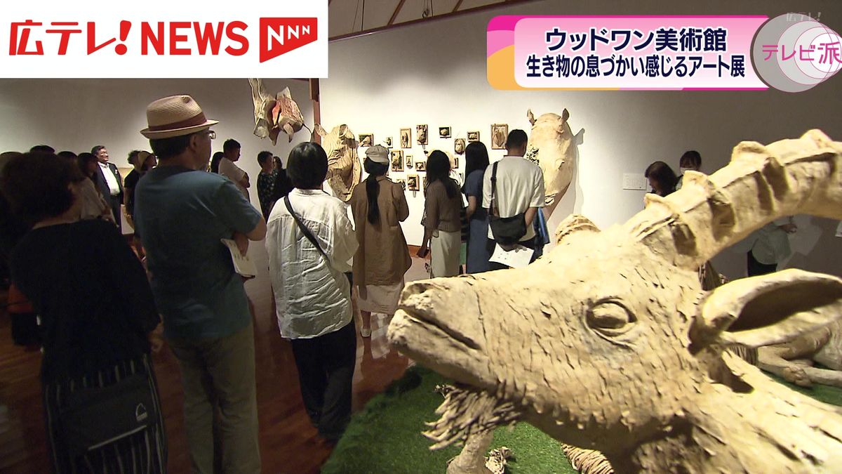 ウッドワン美術館で造形作家・玉田多紀さんによるダンボール作品の展覧会開催　広島
