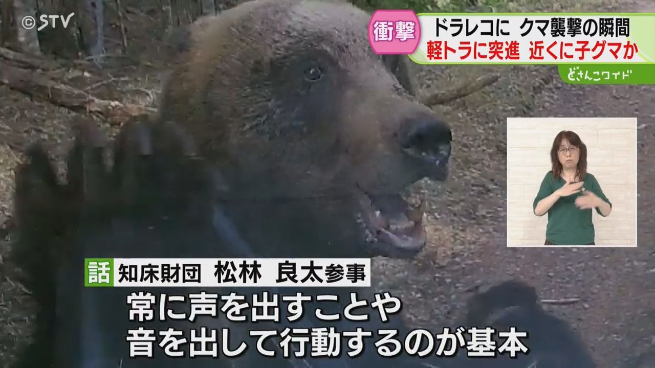 衝撃の瞬間 クマが軽トラックに体当たり ワイパー破損後も執拗に追いかける 北海道根室市（2024年4月29日掲載）｜日テレNEWS NNN