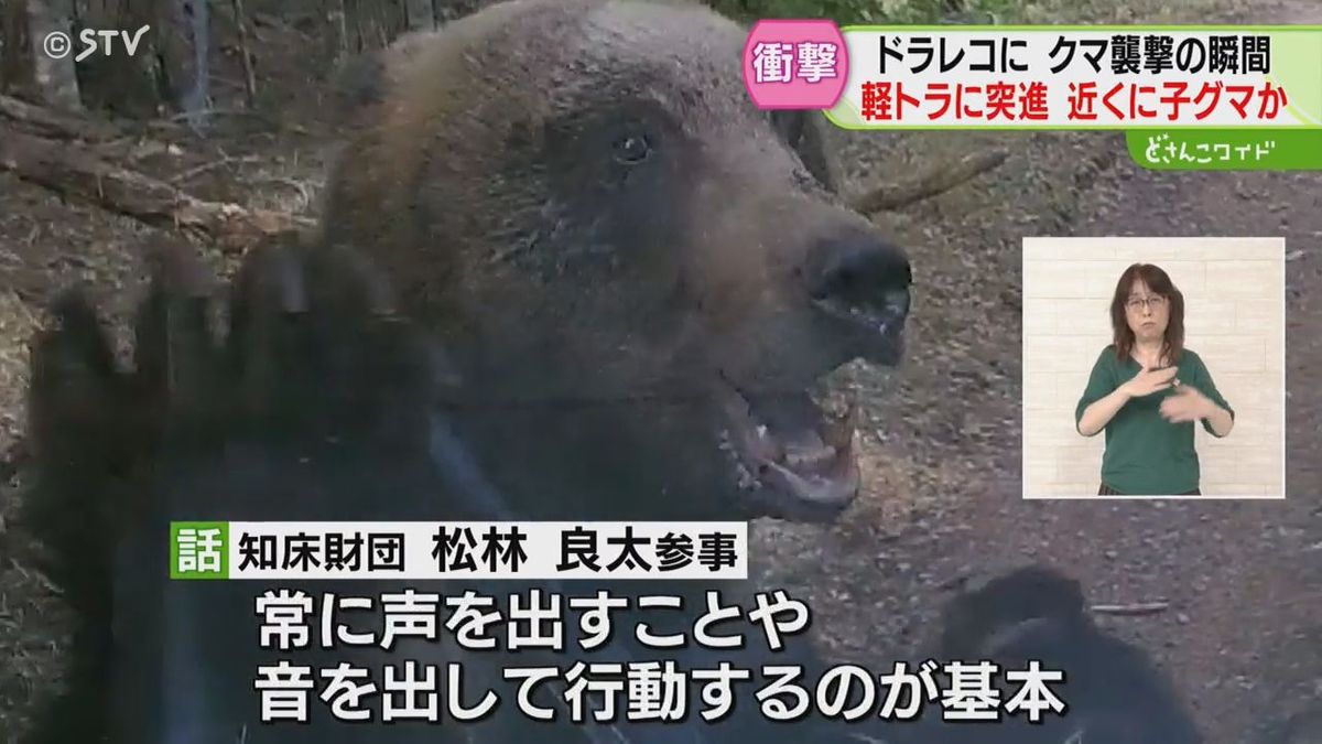 衝撃の瞬間　クマが軽トラックに体当たり　ワイパー破損後も執拗に追いかける　北海道根室市