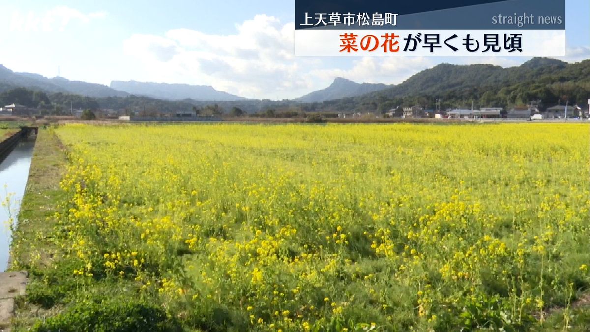 上天草市松島町